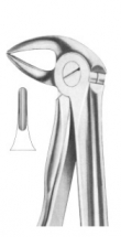  Fig. 33 lower roots 